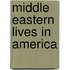 Middle Eastern Lives in America