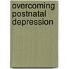 Overcoming Postnatal Depression door Karen Robertson