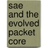 Sae And The Evolved Packet Core