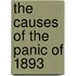 The Causes Of The Panic Of 1893