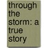 Through the Storm: A True Story