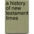 A History Of New Testament Times