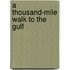 A Thousand-Mile Walk to the Gulf