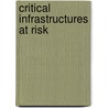 Critical Infrastructures at Risk door Margot P. C. Weijnen