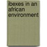 Ibexes in an African Environment