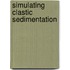 Simulating Clastic Sedimentation