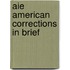 Aie American Corrections in Brief
