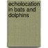 Echolocation In Bats And Dolphins