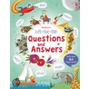 Lift the Flap Questions & Answers door Katie Daynes