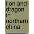 Lion And Dragon In Northern China