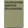 Nicotinamide Adenine Dinucleotide by Ronald Cohn