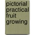 Pictorial Practical Fruit Growing