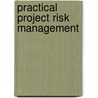 Practical Project Risk Management door David Hilson