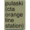 Pulaski (cta Orange Line Station) by Ronald Cohn