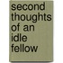 Second Thoughts Of An Idle Fellow