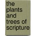 The Plants And Trees Of Scripture