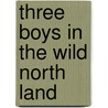 Three Boys In The Wild North Land by Egerton Ryerson Young