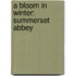 A Bloom in Winter: Summerset Abbey
