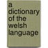 A Dictionary Of The Welsh Language