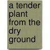 A Tender Plant from the Dry Ground door Timothy Cross