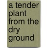 A Tender Plant from the Dry Ground by Timothy Cross
