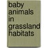 Baby Animals in Grassland Habitats