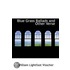 Blue Grass Ballads And Other Verse