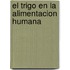 El Trigo En La Alimentacion Humana