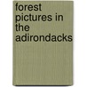 Forest Pictures In The Adirondacks door John Augustus Hows