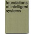 Foundations of Intelligent Systems