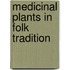 Medicinal Plants in Folk Tradition