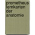 Prometheus Lernkarten Der Anatomie