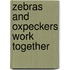 Zebras And Oxpeckers Work Together