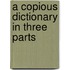 A Copious Dictionary in Three Parts