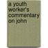 A Youth Worker's Commentary on John