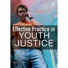 Effective Practice In Youth Justice by Martin Stephenson