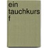 Ein Tauchkurs f