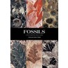 Fossils: A Photographic Field Guide door Helen Pellant