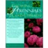 Growing Perennials In Cold Climates