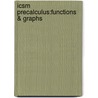 Icsm Precalculus:Functions & Graphs door Swokowski