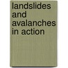 Landslides And Avalanches In Action door Richard Spilsbury