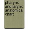 Pharynx and Larynx Anatomical Chart by Anatomical Chart Company