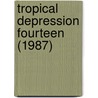Tropical Depression Fourteen (1987) by Ronald Cohn