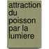 Attraction Du Poisson Par La Lumiere