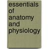 Essentials Of Anatomy And Physiology by Valerie C. Scanlon