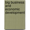Big Business And Economic Development door Jilberto/Hogenb