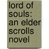 Lord of Souls: An Elder Scrolls Novel