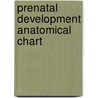 Prenatal Development Anatomical Chart door Acc