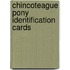 Chincoteague Pony Identification Cards