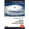 Effects of Hurricane Dennis in Florida door Ronald Cohn